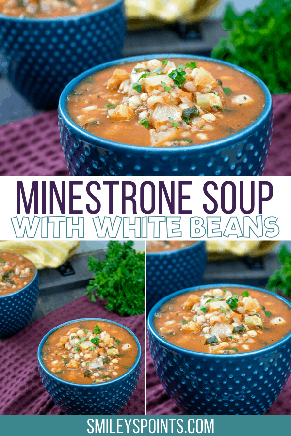 Collage of minestrone soup in bowls