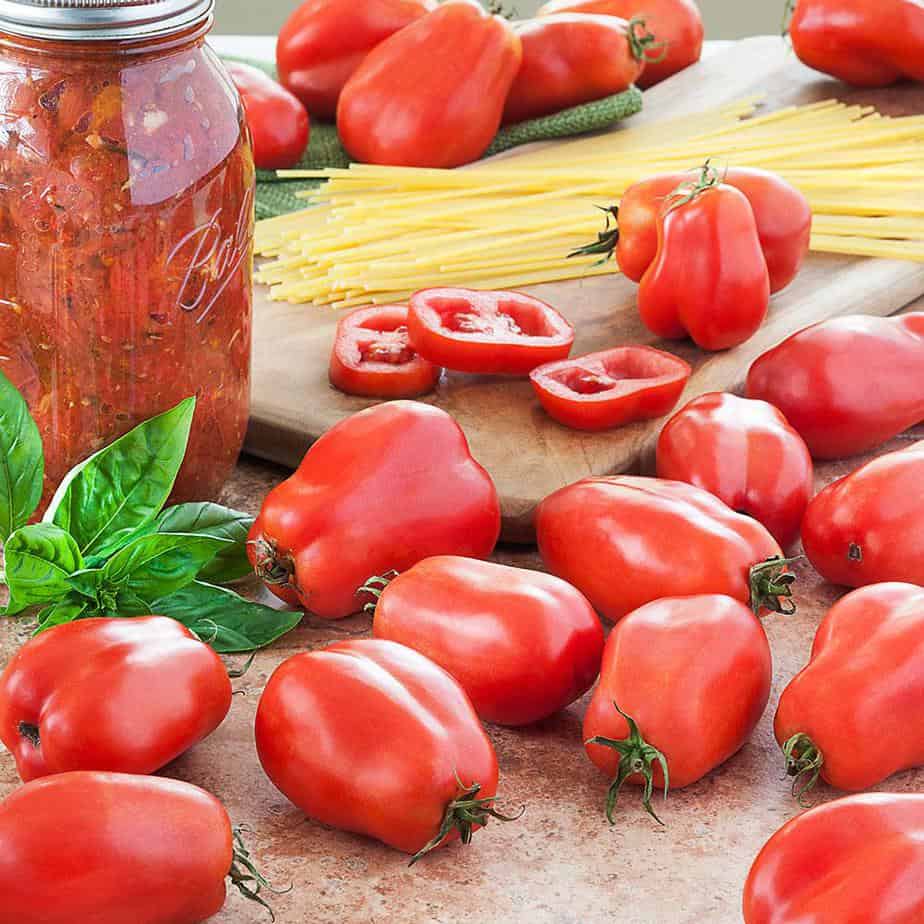 San Marzano tomatoes